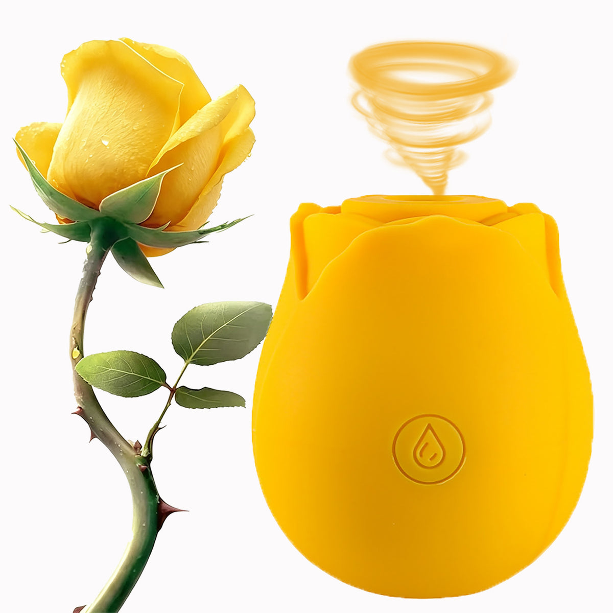 Classic Rose