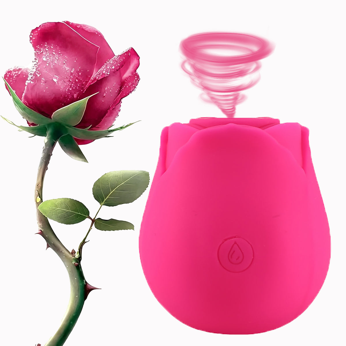 Classic Rose