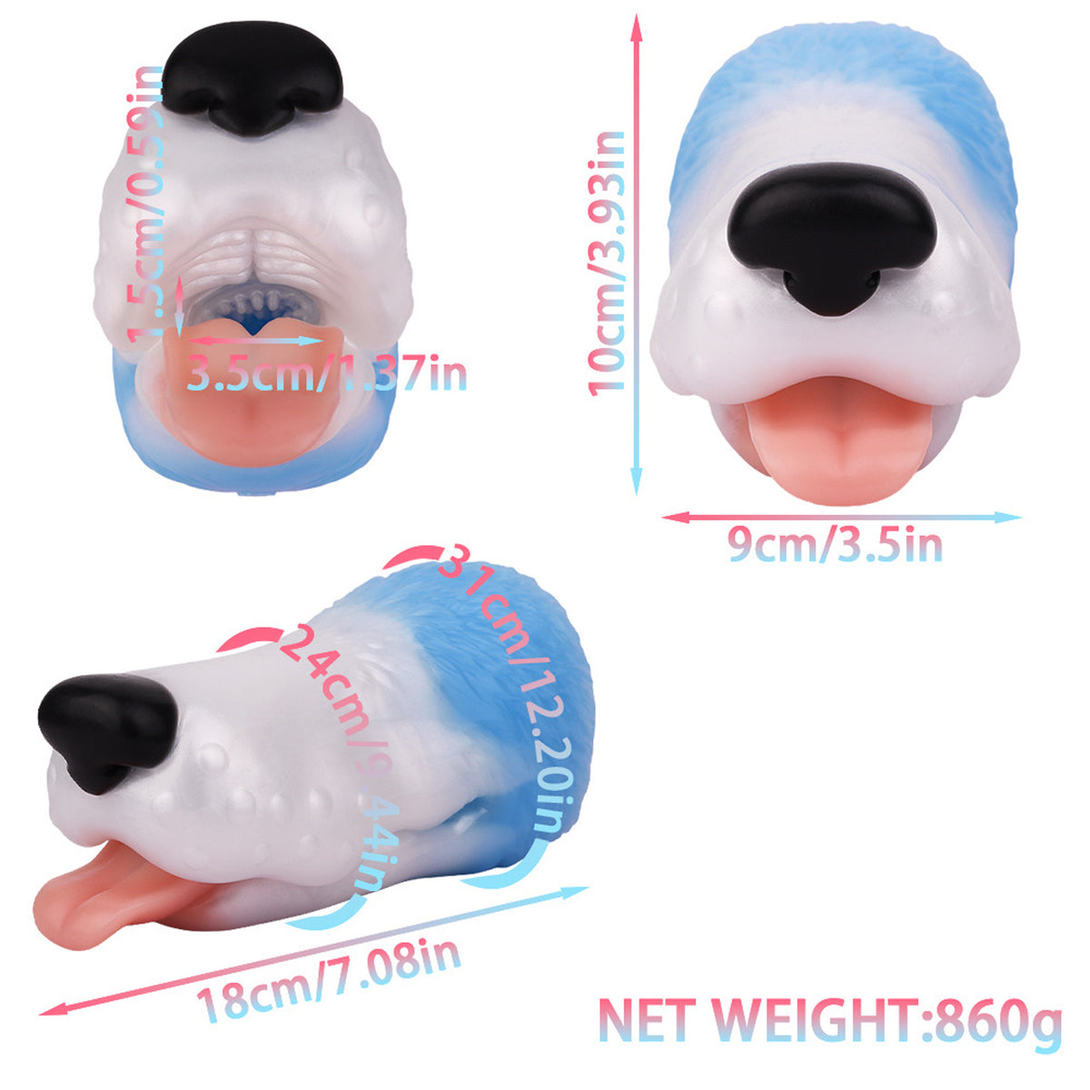 Bruce's Head