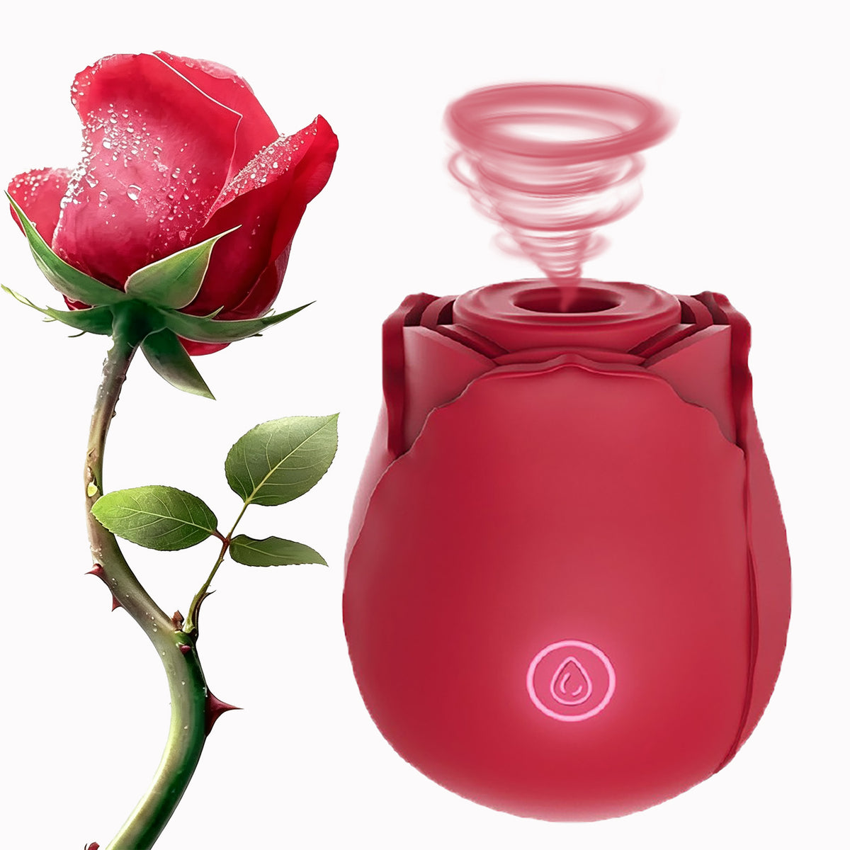 Classic Rose