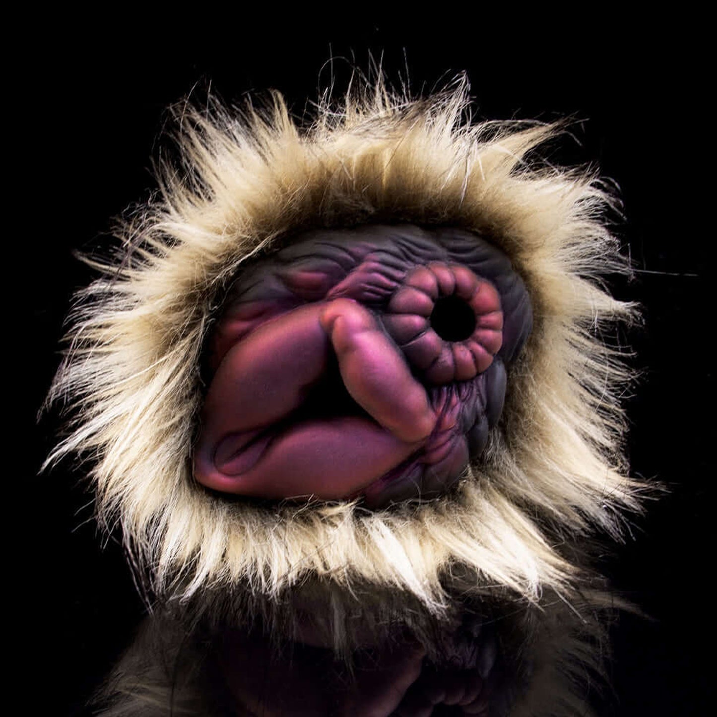 Furry Dog-Inspired Masturbator