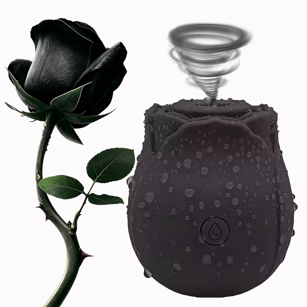 Classic Rose